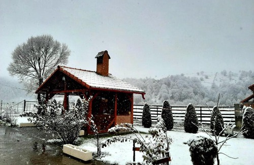 Sita Buzaului House | Casa Sărățică