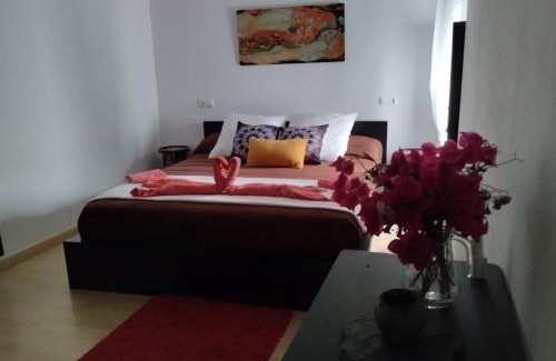 Algar House | Casa Salvadora