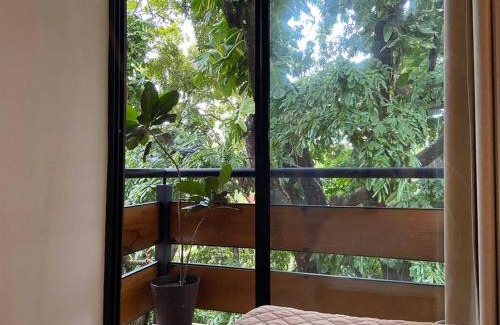 Palenque Apartment | Casa SaQua Residencia Palenque