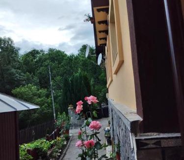 Secaria Bed & Breakfast | Casa Savu Secaria