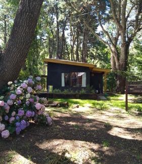 Costa del Este House | Casa Selva
