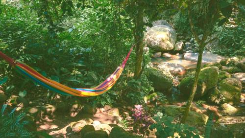 Ilha Grande House | Casa Selva - Vila do Abraão - Ilha grande