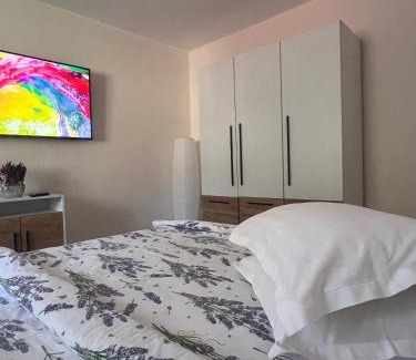 Sinaia Apartment | Casa SEMA
