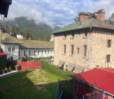 Sinaia Apartment | Casa SEMA