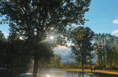 Tunuyan Hotel | Casa Septem