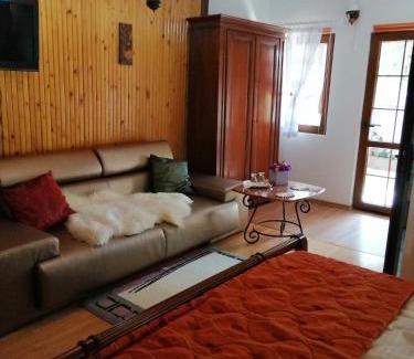 Durau House | Casa Serban