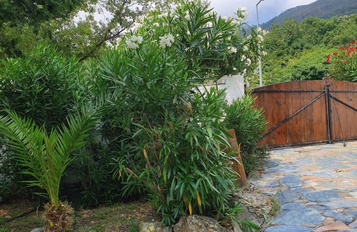 Scolca House | Casa serena charming house with swimming pool