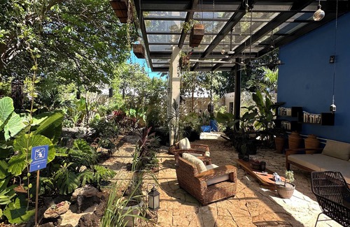 Merida Municipality House | Casa Shakti a paradise in the city