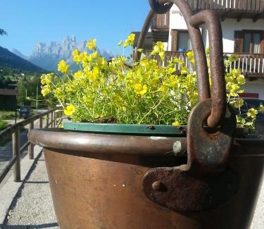 Mezzano Apartment | Casa Simion