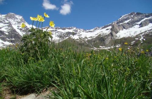 Alagna Valsesia Apartment | Casa Smitt