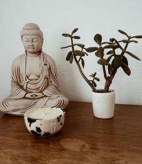 Chascomus House | Casa Soul