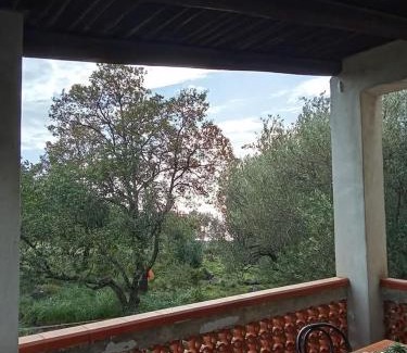 Camerota House | Casa Spinosa