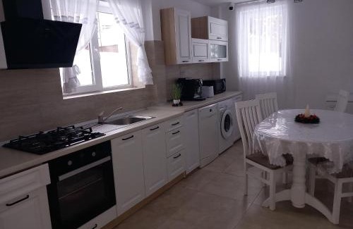 Cozanesti Villa | Casa Stejarului