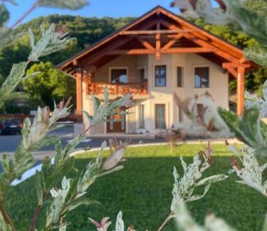 Birsana House | Casa Sub Dumbravă