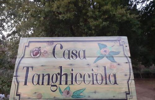 Levie Apartment | Casa tanghicciola