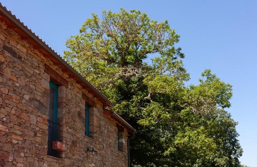 Laza House | CASA TERRA ALMA