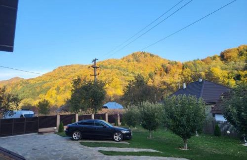 Gura Teghii House | Casa Toader