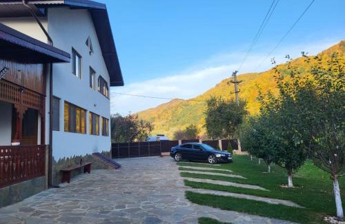 Gura Teghii House | Casa Toader