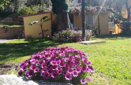 Pisciotta House | Casa tra mare e oliveti
