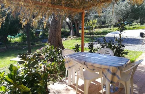 Pisciotta House | Casa tra mare e oliveti