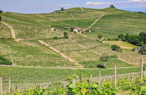 Cassine House | Casa tra Monferrato & Langhe vista vigneti