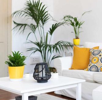 Historical Center House | Casa tradicional Canaria en La Laguna centro