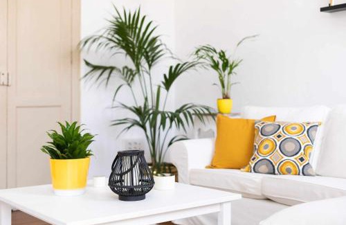 Historical Center House | Casa tradicional Canaria en La Laguna centro