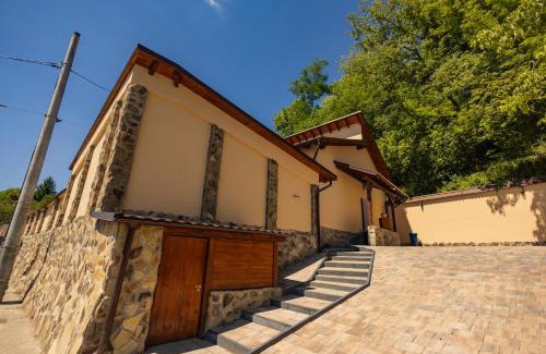 Medias Villa | Casa Transilvania - Pool & Sauna