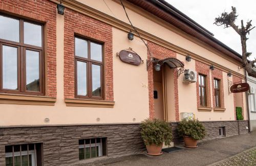 Satu Mare House | Casa Transilvania