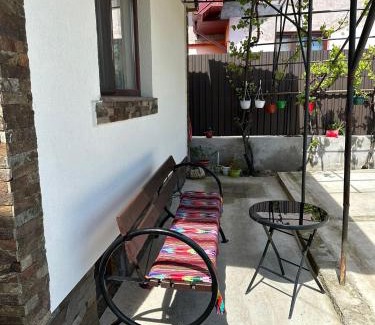 Tirgu Ocna House | Casa Tudor