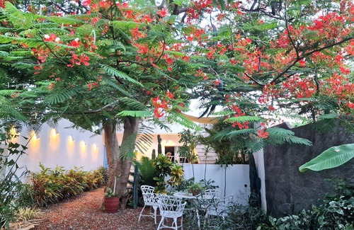 La Boca House | Casa Tulum