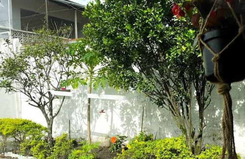 Guaduas House | Casa Turística la Villa de Poli