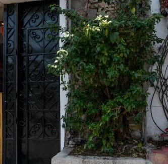 Centro Apartment | Casa Uxmal de Taxco