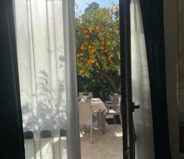 Viagrande Apartment | Casa vacanza Il Mandarino