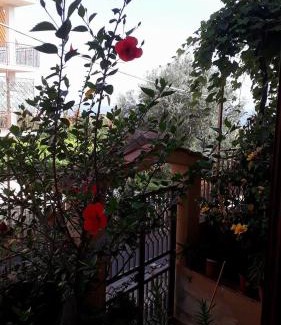 Marina Di Camerota House | Casa vacanze Filomena