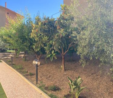Villamassargia Apartment | Casa vacanze Il giardino