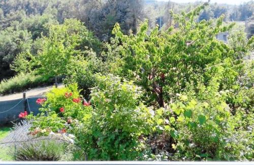 Rionero Sannitico House | Casa Vacanze Le Vigne