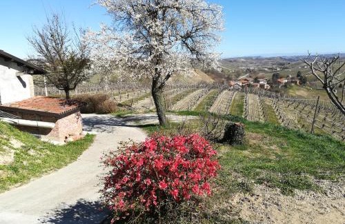 Agliano Terme House | Casa Vacanze Sweet Dreams