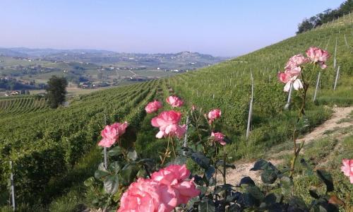 Agliano Terme House | Casa Vacanze Sweet Dreams