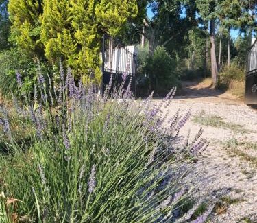 Arganil House | Casa Vale Nicolau
