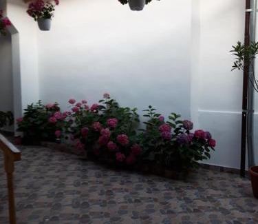 Eftimie Murgu House | Casa Valea Morilor