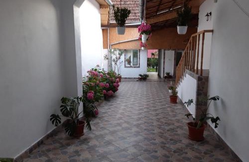 Eftimie Murgu House | Casa Valea Morilor