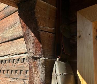 Degen House | Casa Vanellus/Vignogn/Val Lumnezia/near Laax