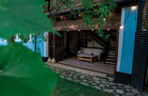 Carpinet Bed & Breakfast | Casa Veche Leheceni in Apuseni