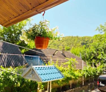 Butuceni House | Casa Veche