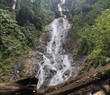Manuel Antonio House | Casa veranera