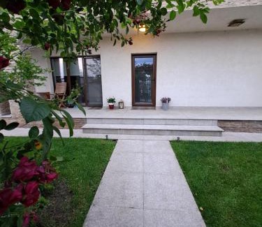 Pantelimon Villa | Casa verde 1