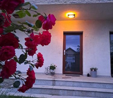 Pantelimon Villa | Casa verde 1