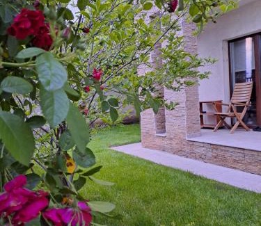 Pantelimon Villa | Casa verde 2
