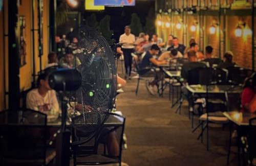Videle Hotel | Casa Verde